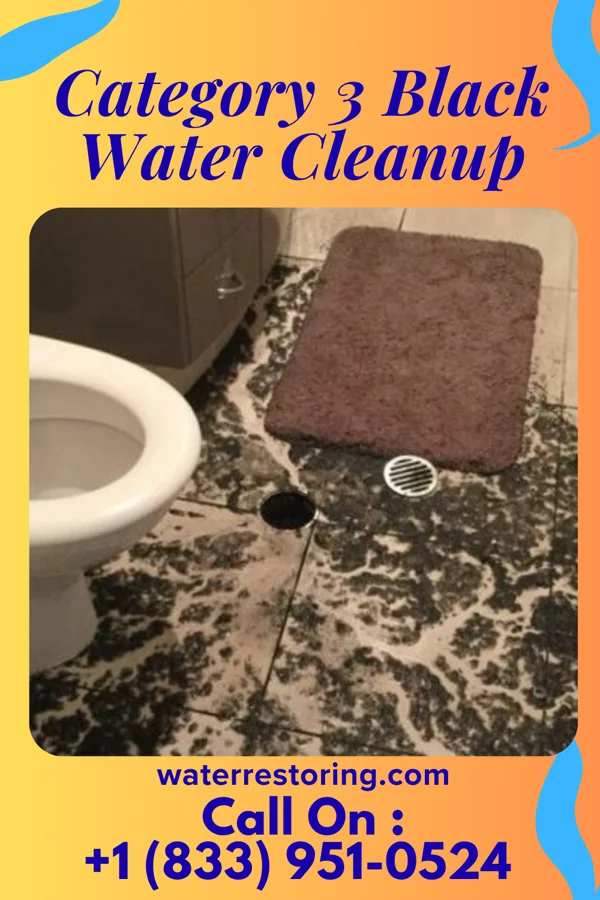 Category 3 Black Water Cleanup in Merritt Park, NY