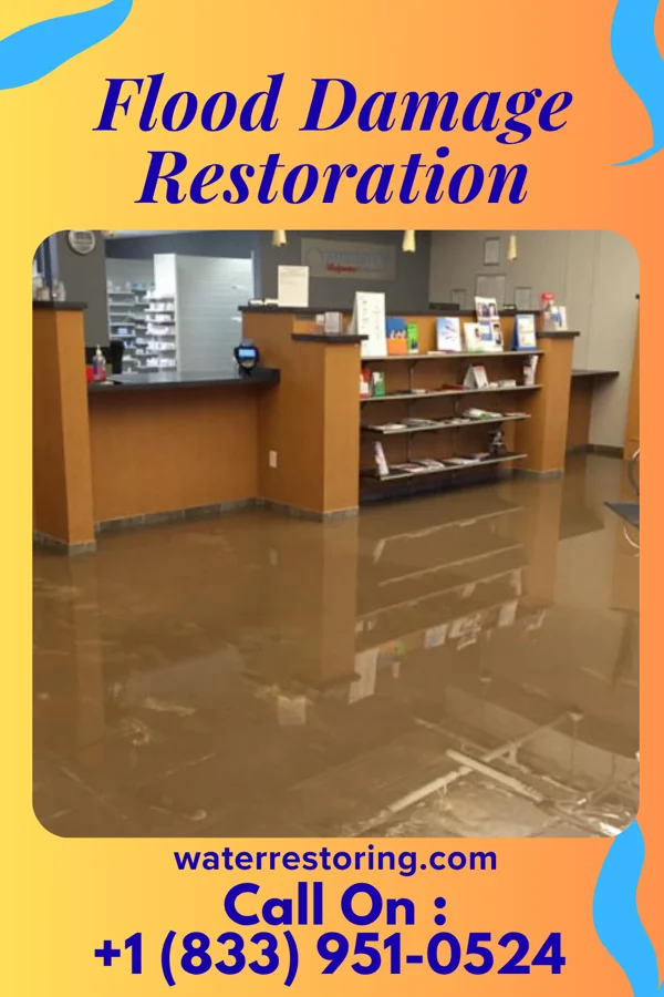 Flood Damage Restoration in Merritt Park, NY