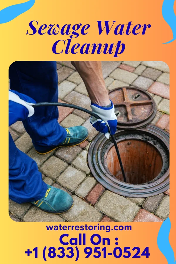 Sewage Water Cleanup in Merritt Park, NY