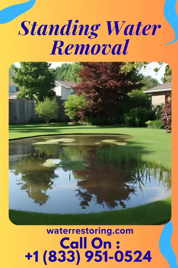 Standing Water Removal in Merritt Park, NY